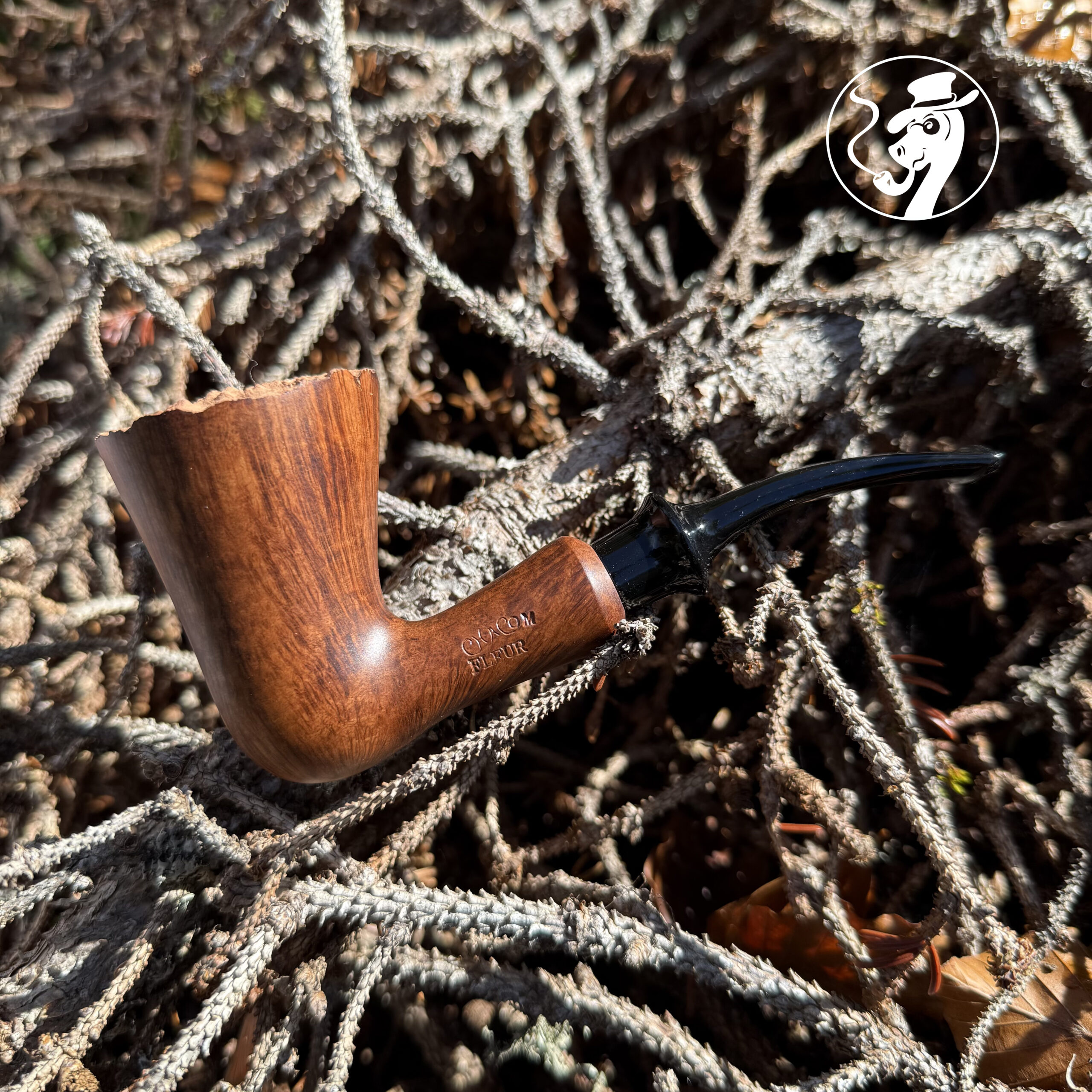 Chacom Fleur – Image 6